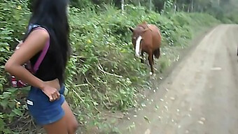 Reiten Eines Pferdepimmels Bis Zum Creampie-Finish Mit Einem Thailändischen Teenager