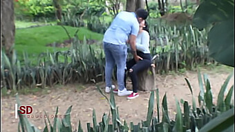 Voyeurismo: Assistindo Um Casal Em Um Parque Público.