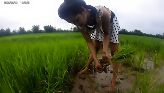 ¡la Chica Asiática Disfruta Del Sexo Público En Campos De Arroz! ¡no Te Pierdas Esta Escena Caliente!