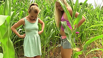 Lesbian Teen: A Young Girl'S First Experience With Another Girl