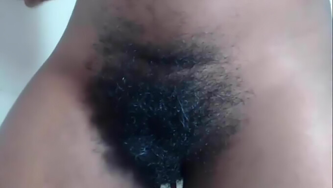 Pov Del Peludo