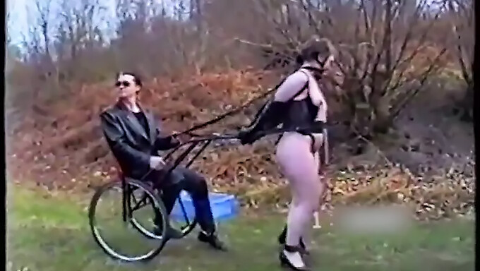 Entraînement Des Ponygirls En Bdsm