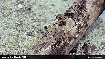 Peitos Naturais E Seios Grandes: Duas Loiras Em Uma Cena Lésbica