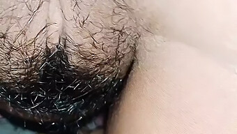 Biseksuel Teenager Nyder Upskirt Pov Med En Lodnet Pik